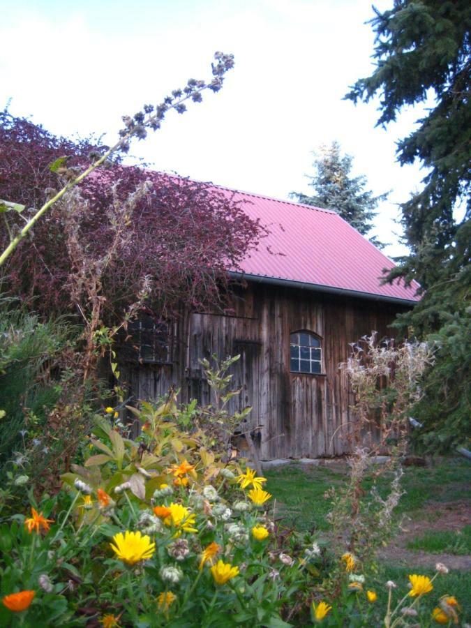 Ferienhaus Ilse-Bilse Neuhausen  Esterno foto